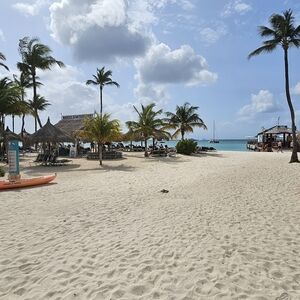 Meet your Posher, Athena